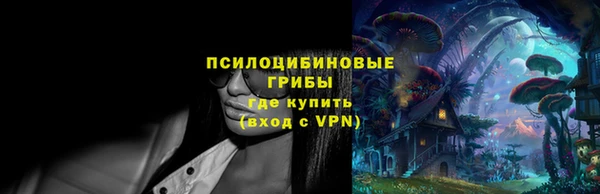 не бодяженный Нязепетровск