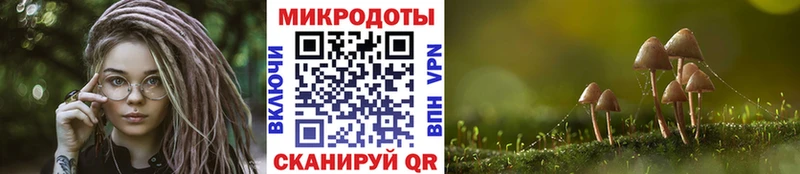 Псилоцибиновые грибы мухоморы Лебедянь